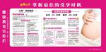 掌握最佳的怀孕时机