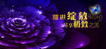 奢华之夜