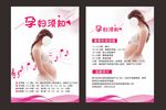 孕妇须知海报
