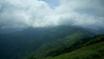 森林原野