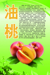 水果文化系列之油桃