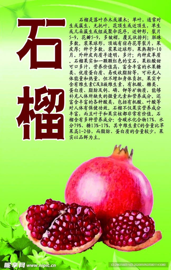 水果文化系列之石榴