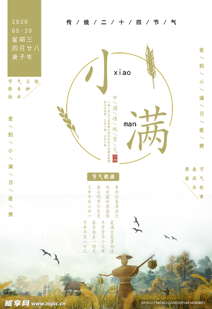 小满节气海报