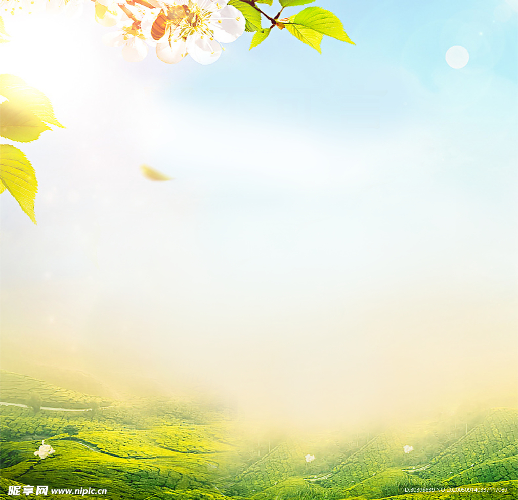 春天海报背景