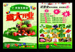 水果生鲜蔬菜超市开业活动彩页