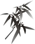 竹-1