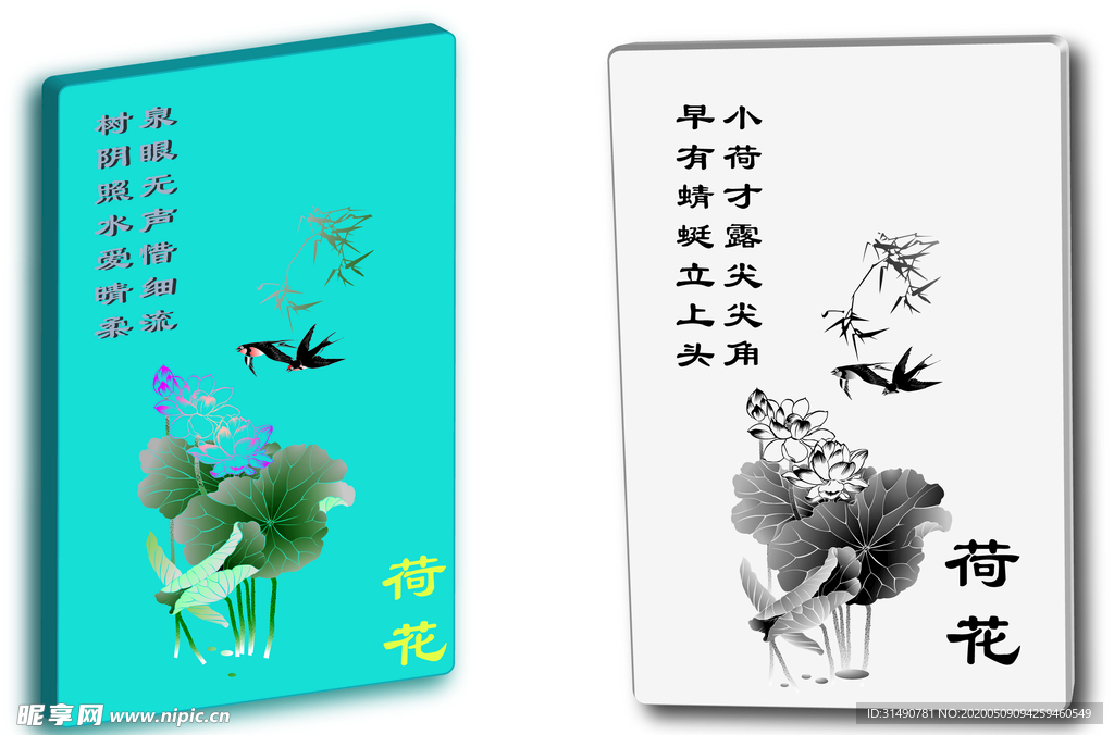 荷花
