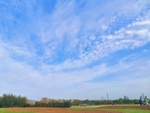辰山植物园的蓝天白云