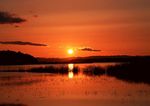 夕阳