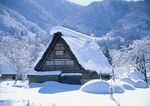 雪景