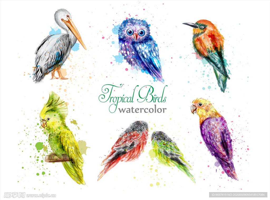 水彩彩绘鸟素材