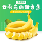 小米蕉芭蕉香蕉香蕉片主图直通车