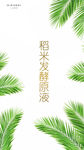 绿叶