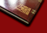 高档LOGO样机