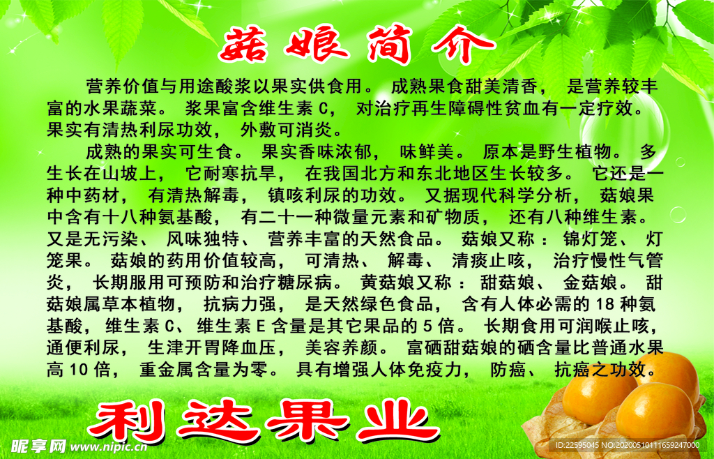 菇娘简介