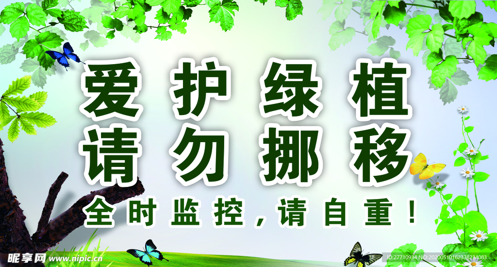 爱护绿植