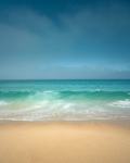 海岸