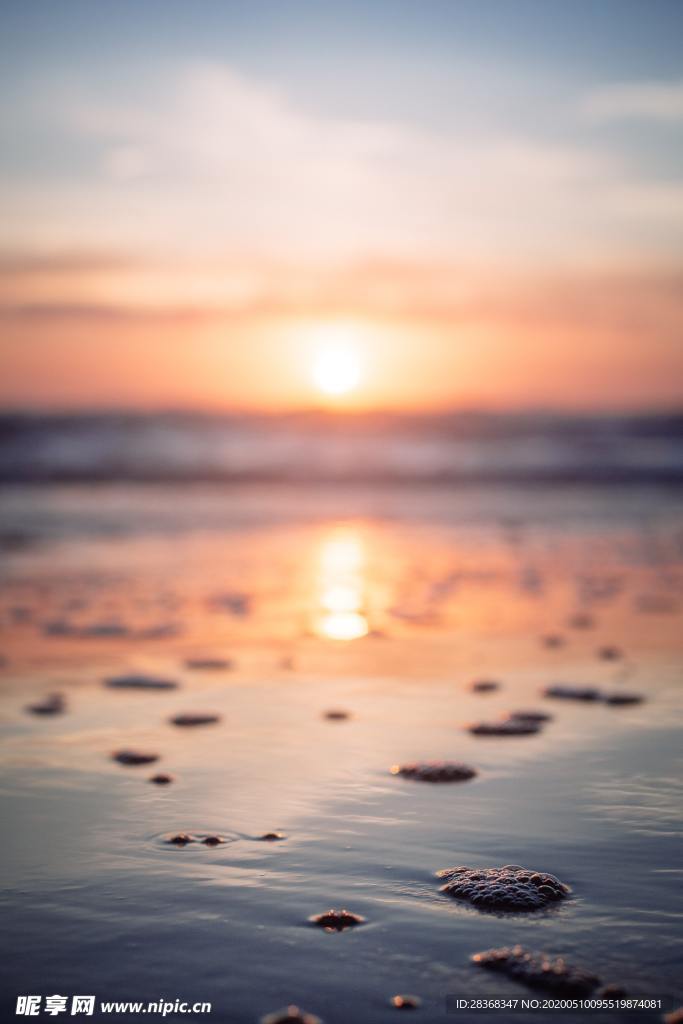 海岸