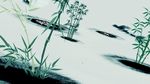 映像汉天 竹林