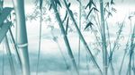 映像汉天 竹子林