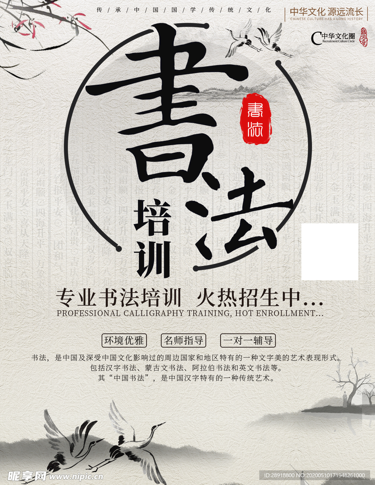 书法培训