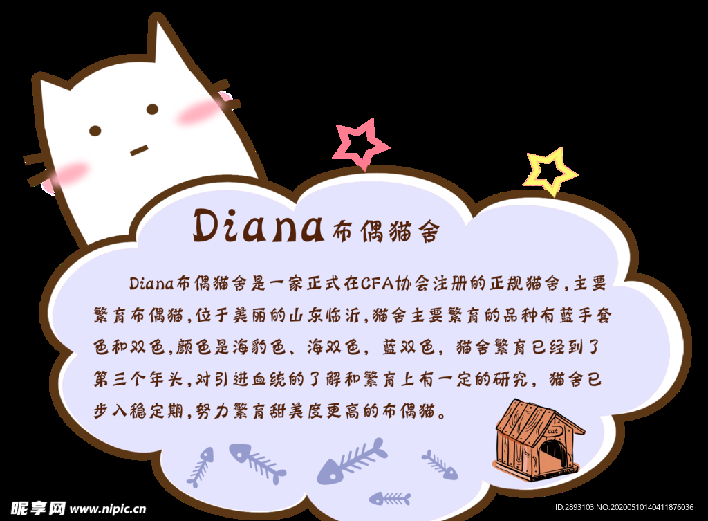 布偶猫