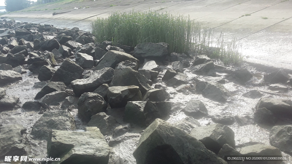 河滩上的礁石