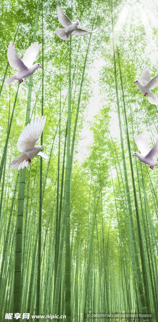 竹海