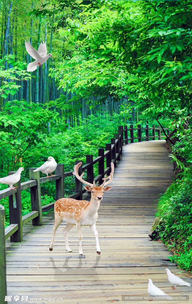 竹海
