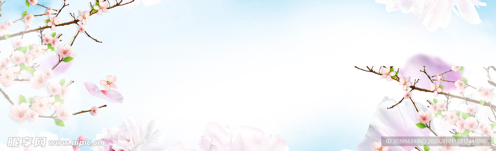 banner背景