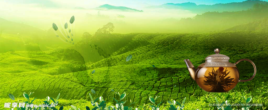 banner背景
