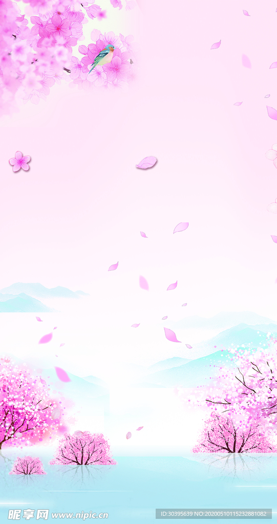 banner背景