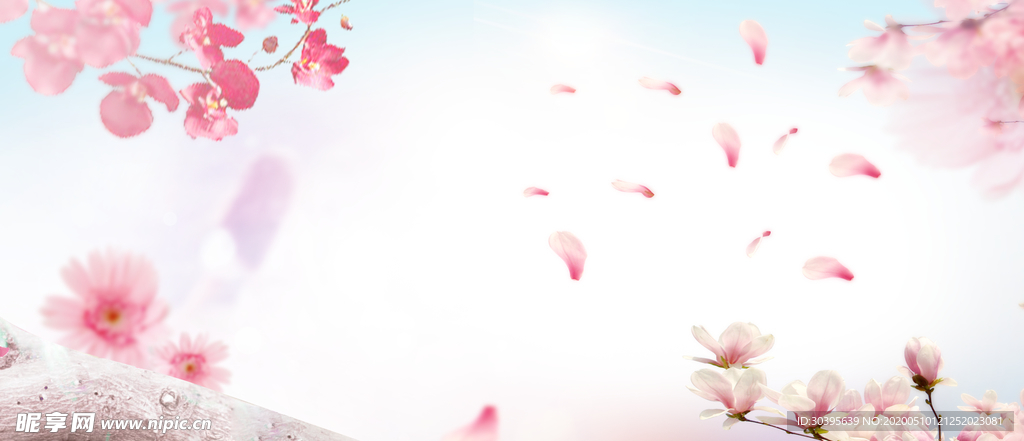 banner背景