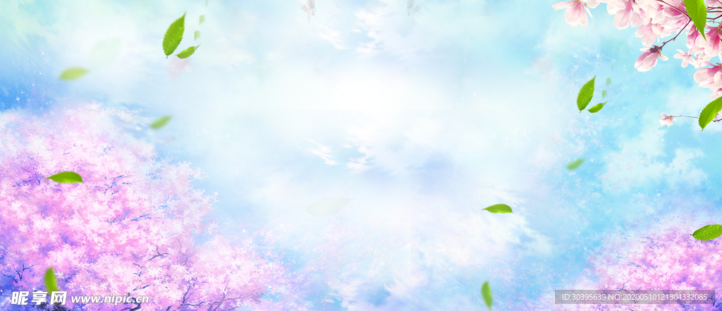 banner背景