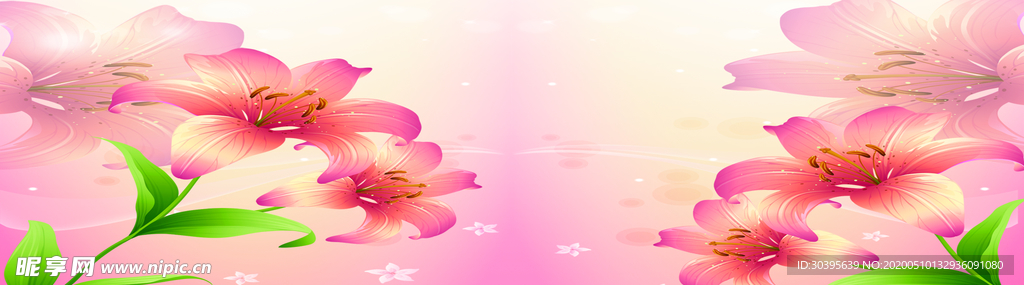 banner背景