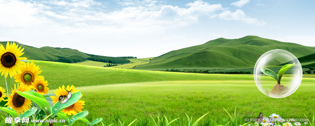 banner背景