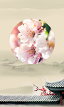 春天海报