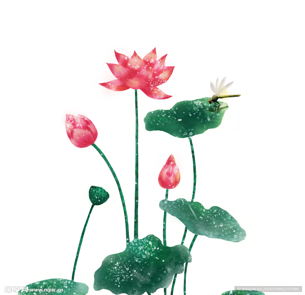 荷花蜻蜓夏季池塘海报合成素材