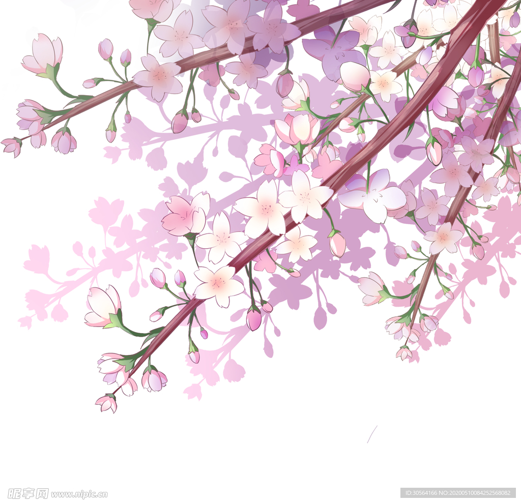 樱花花朵枝头夏季海报紫色素材
