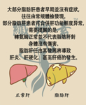 减肥小知识