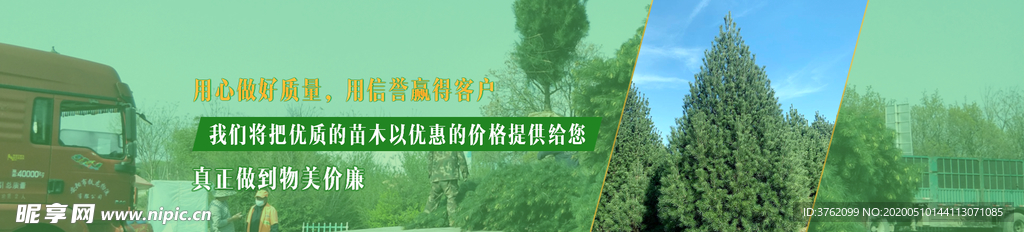 淡绿色网站banner