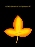 树叶 枫树叶