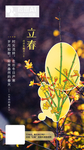 立春