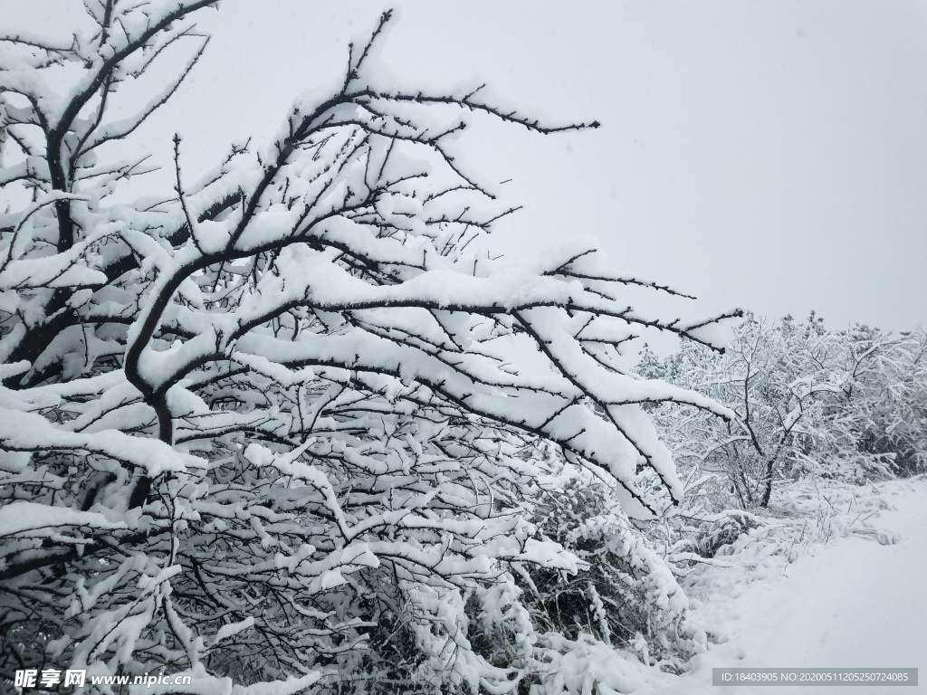 雪景