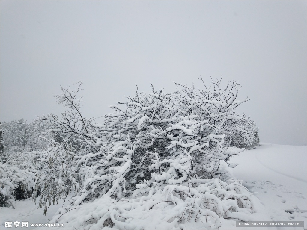 雪景