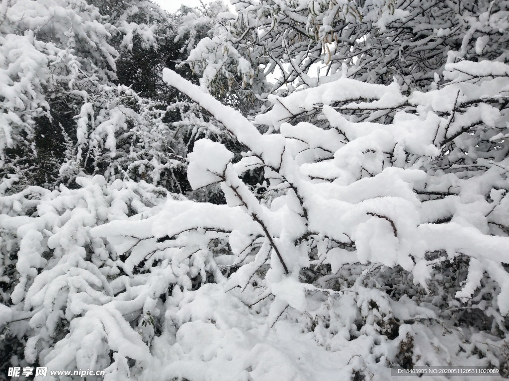 雪景