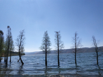 阳宗海
