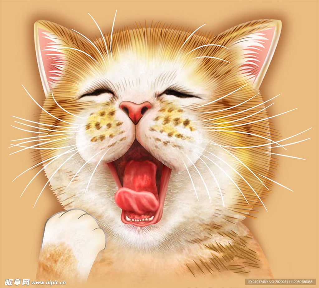 会笑的猫