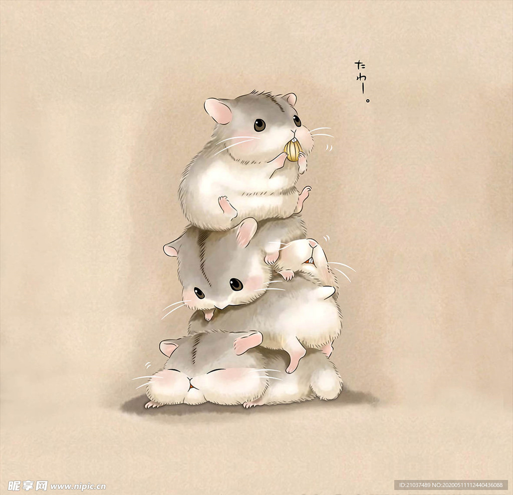 老鼠