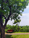 公园风景